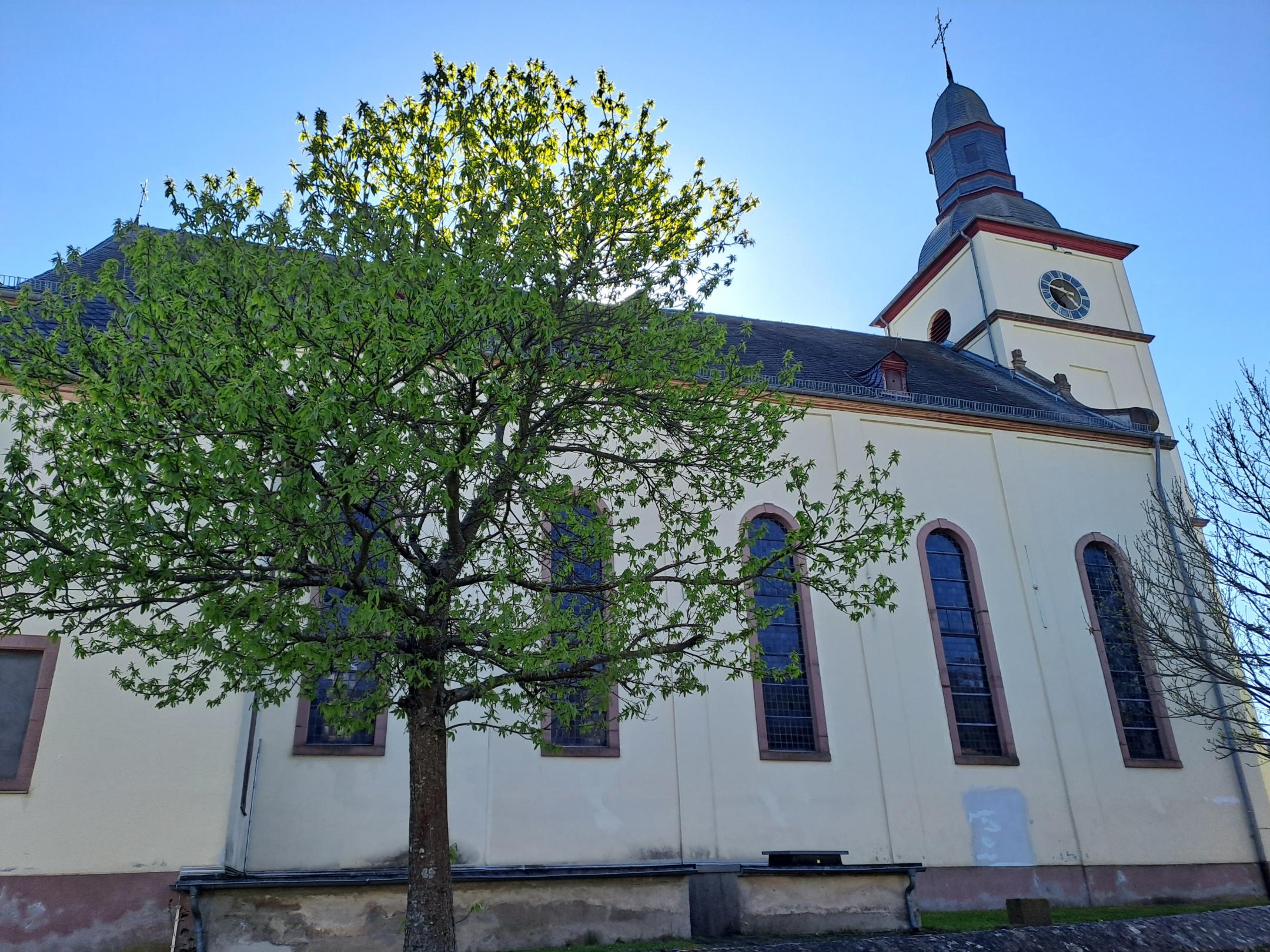 Außenansicht der Kirche St. Kastor in Mörsdorf mit Kirchturm und Baum im Vordergrund. Das historische Kirchengebäude prägt das Ortsbild und zählt zu den markanten Sehenswürdigkeiten des Ortes.