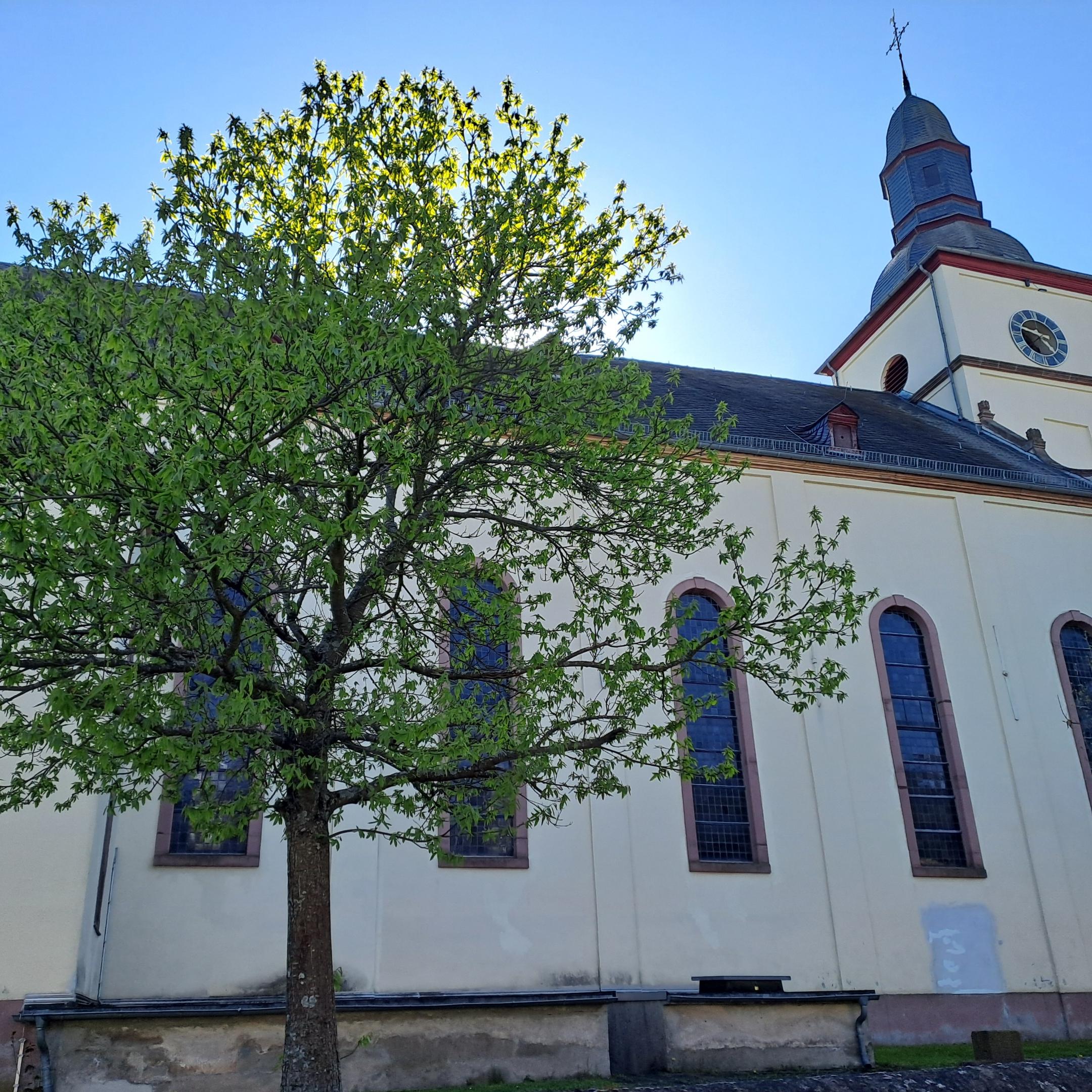 Außenansicht der Kirche St. Kastor in Mörsdorf mit Kirchturm und Baum im Vordergrund. Das historische Kirchengebäude prägt das Ortsbild und zählt zu den markanten Sehenswürdigkeiten des Ortes.