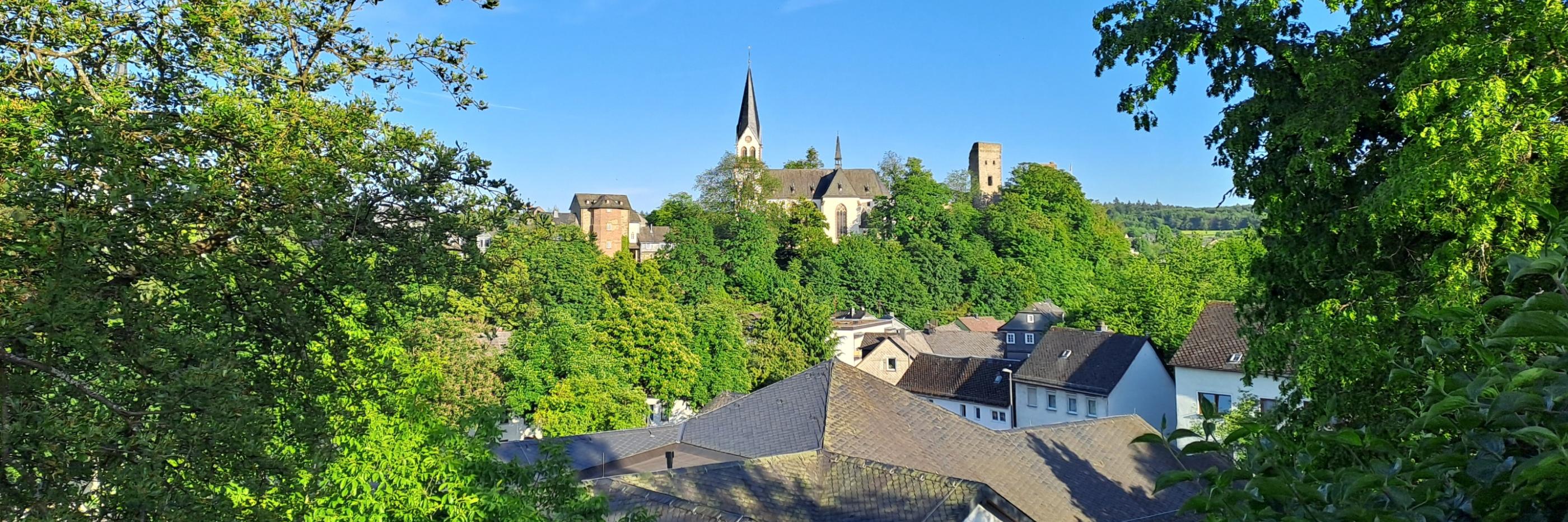 Blick auf Kastellaun mit mehreren Wohnhäusern im Vordergrund. Dahinter ragt eine Kirche mit spitzem Turm sowie ein rechteckiger Turm aus dem Grünen. Die Umgebung ist dicht bewachsen und der Himmel ist wolkenlos.