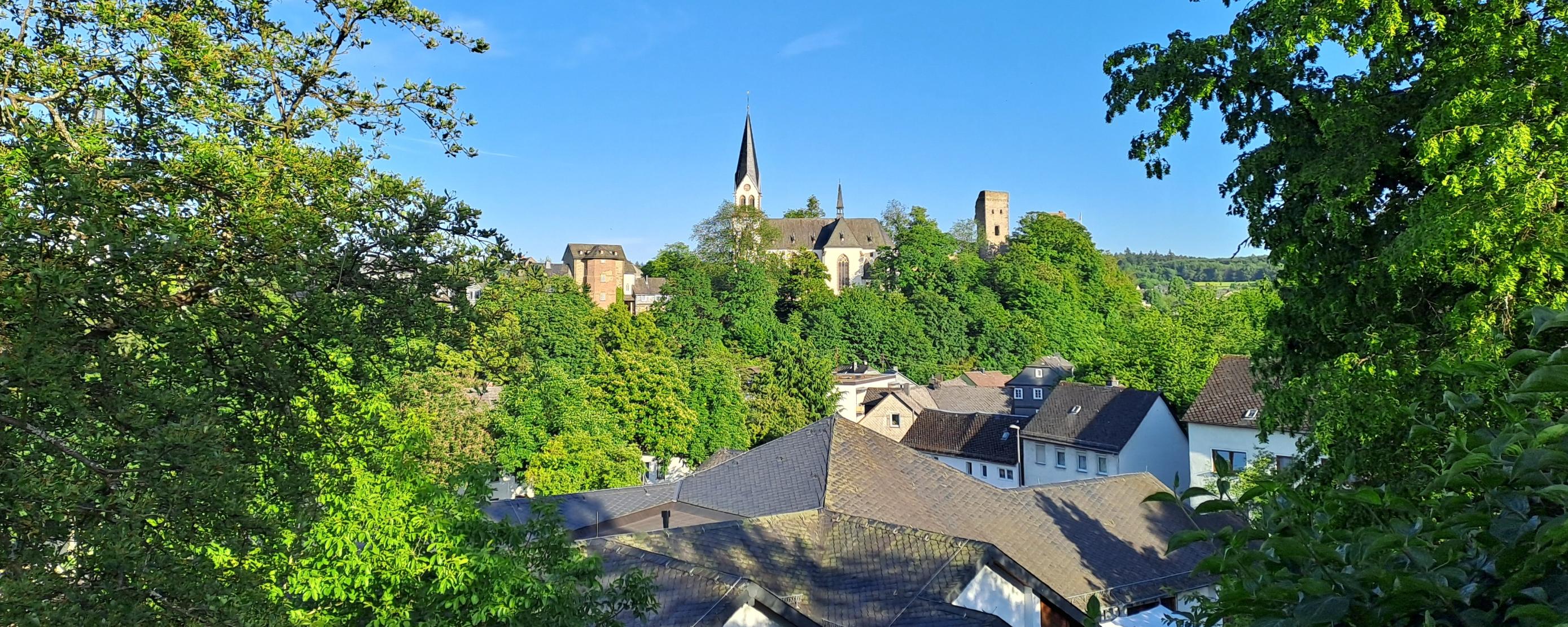 Blick auf Kastellaun mit mehreren Wohnhäusern im Vordergrund. Dahinter ragt eine Kirche mit spitzem Turm sowie ein rechteckiger Turm aus dem Grünen. Die Umgebung ist dicht bewachsen und der Himmel ist wolkenlos.
