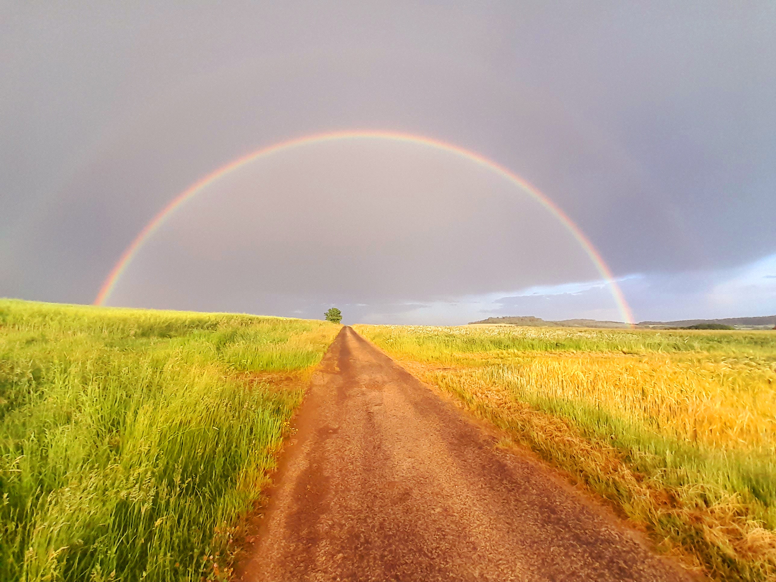 Regenborgen über Feldern und einem Feldweg
