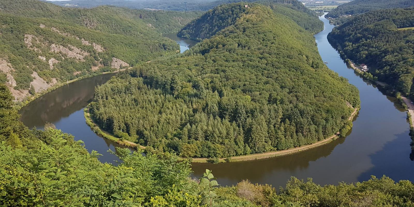 IMG-20190823-WA0054 (c) Christian Jager IMG-20190823-WA0054