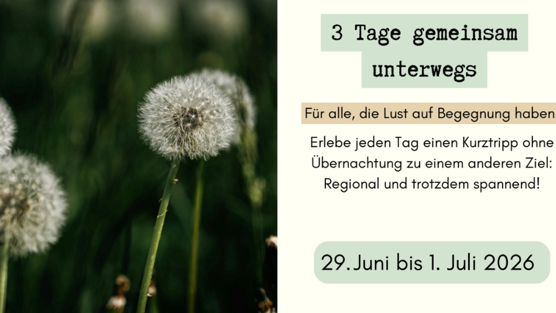 Urlaub-ohne-Koffer.png_484162116